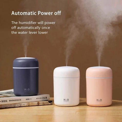 Portable H2O Humidifier